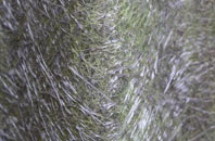 Linby fibreglass roof work